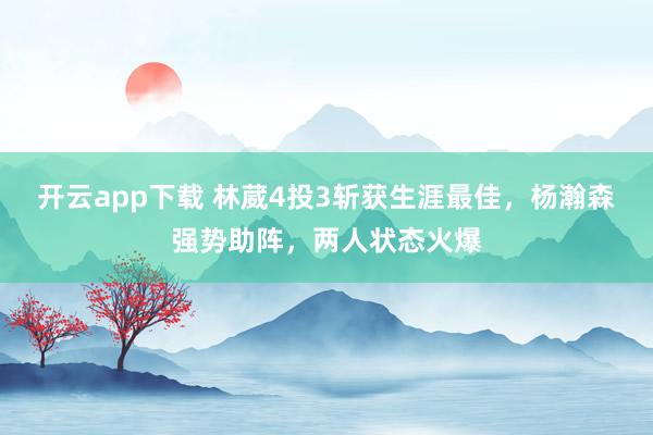 开云app下载 林葳4投3斩获生涯最佳,杨瀚森强势助阵,两人状态火爆