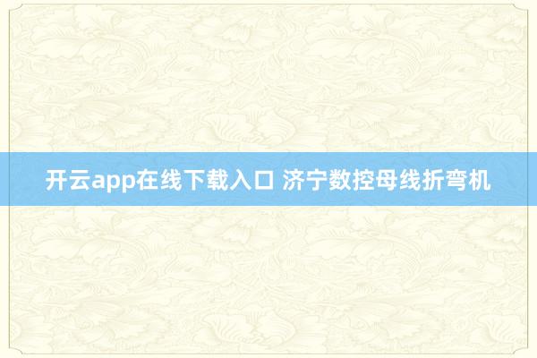 开云app在线下载入口 济宁数控母线折弯机