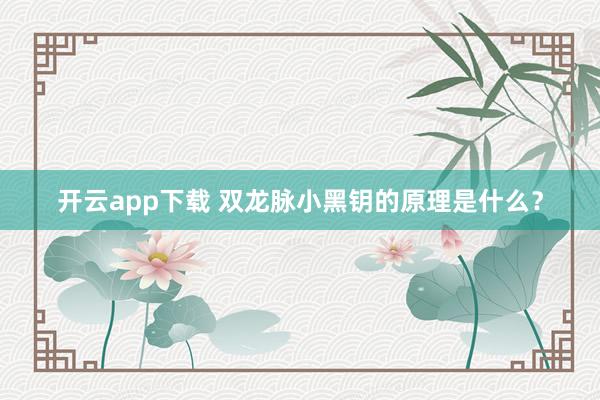 开云app下载 双龙脉小黑钥的原理是什么？