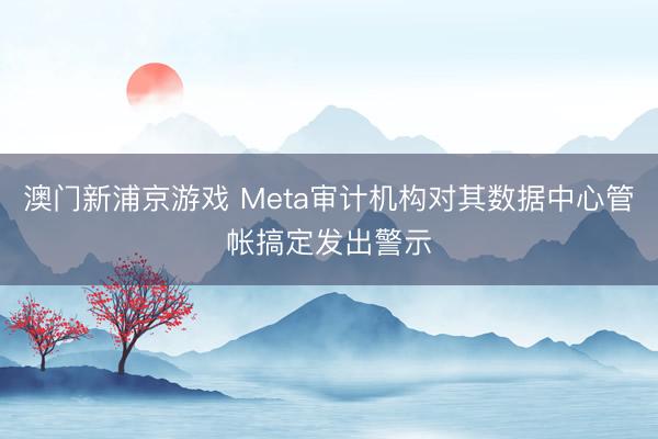 澳门新浦京游戏 Meta审计机构对其数据中心管帐搞定发出警示