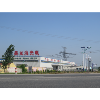 LED照明技术驱动绿色未来 从路灯改造到智慧养殖的鑫龙海实践