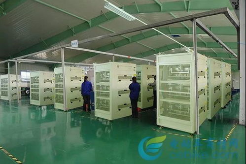 独具匠‘芯’ 驰名天下——芯驰光电科技如何以创新引领光电行业